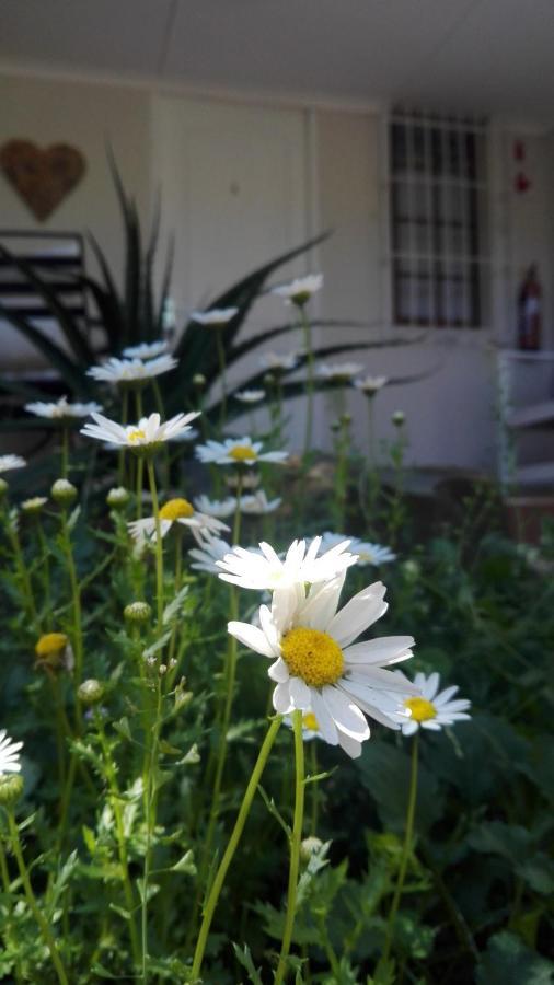 Country Lane Guesthouse Howick Exterior foto